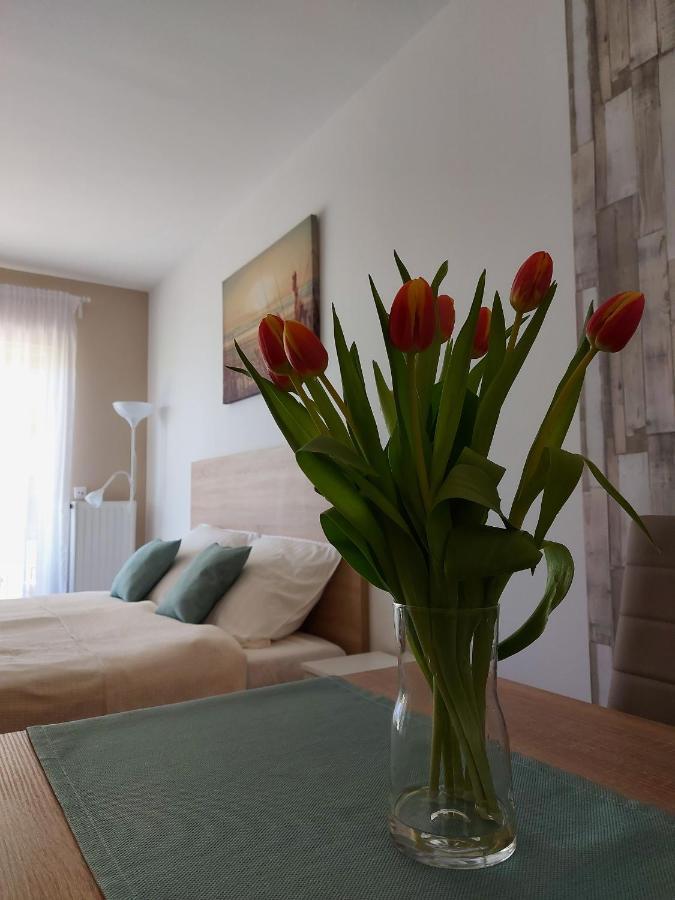Bike & Spa Velence Apartman Kültér fotó